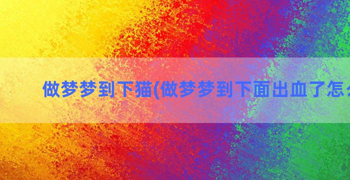 做梦梦到下猫(做梦梦到下面出血了怎么回事)